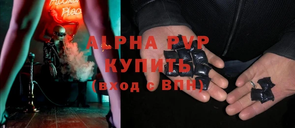 гидра Горняк