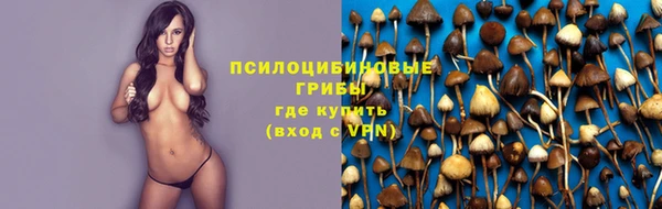 СК Горнозаводск