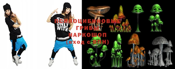 гидра Горняк