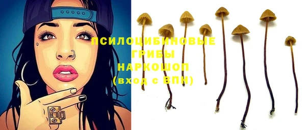 хмурый Горно-Алтайск