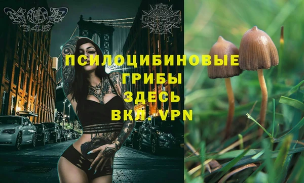 хмурый Горно-Алтайск
