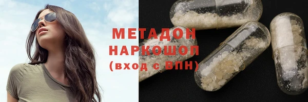 гидра Горняк