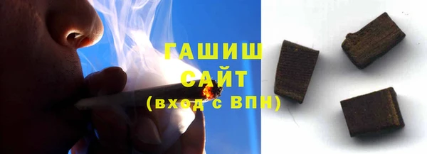 гидра Горняк