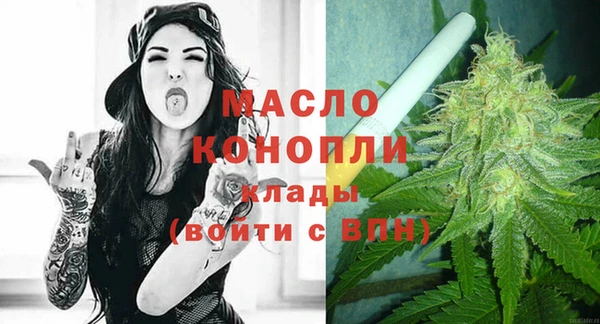 гидра Горняк