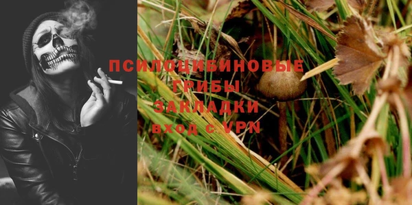 гидра Горняк