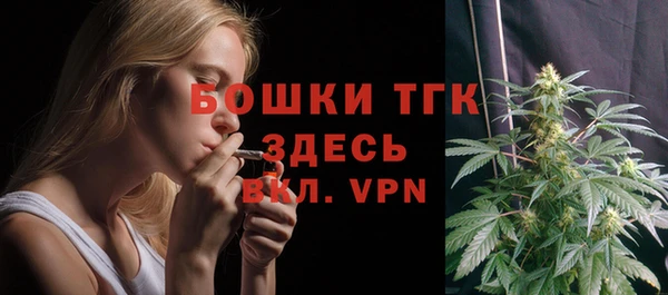 гидра Горняк