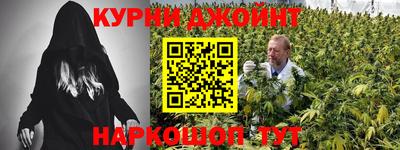 PSILOCYBIN Кулебаки