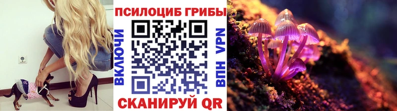 гидра как зайти Острогожск Псилоцибиновые грибы ЛСД дарнет шоп