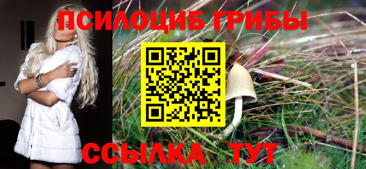 где купить наркоту  Острогожск  Псилоцибиновые грибы MAGIC MUSHROOMS 