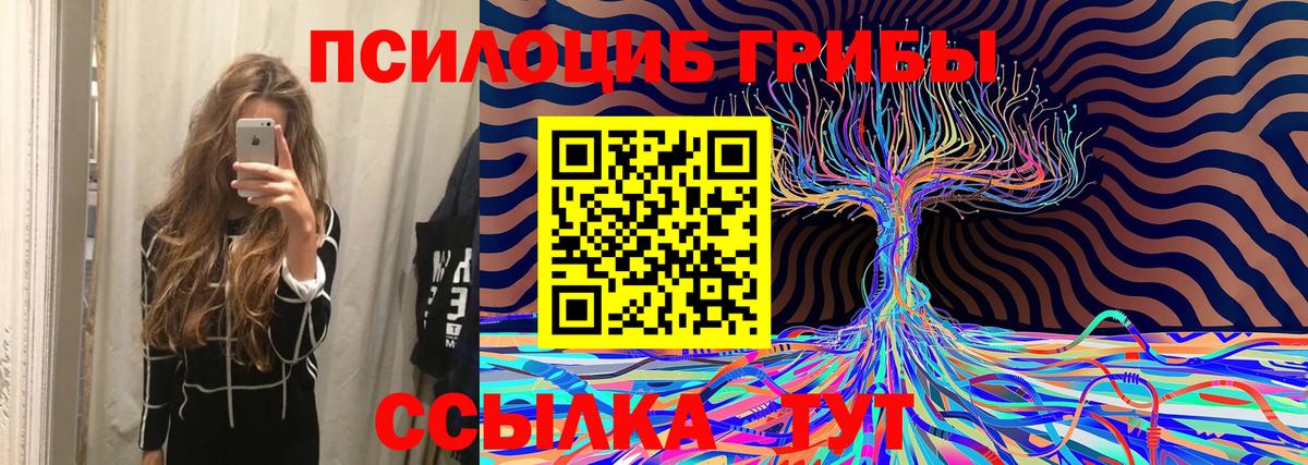 Галлюциногенные грибы Cubensis Острогожск