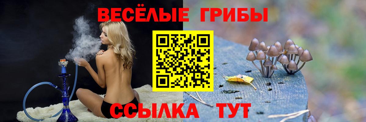 закладка  Псилоцибиновые грибы мухоморы  Вход с VPN  Галлюциногенные грибы Cubensis  Острогожск 